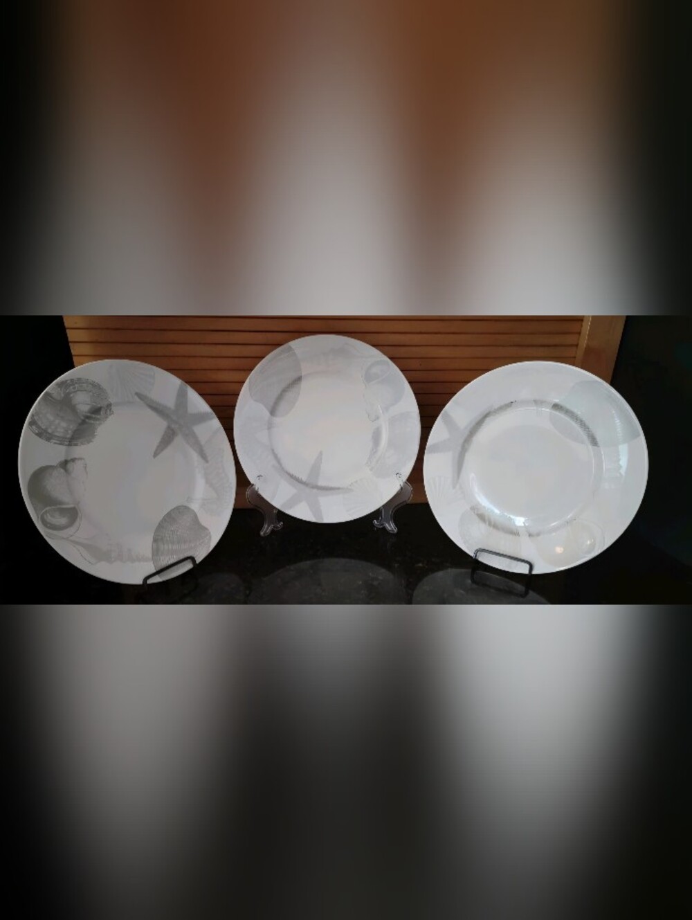 222 Fifth Coastal Life Silver Fibe Chiba 10 75" Dinner Plates Set of 3